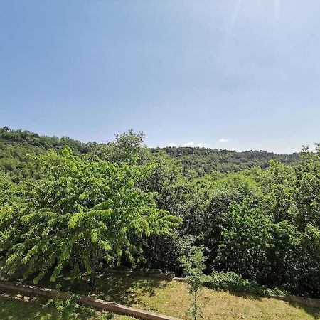 Appartement 2 Ou 4 Personnes. Venaco Venaco  Esterno foto